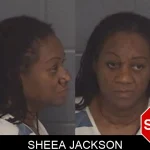 Sheea Jackson mugshot – Barrow County , Georgia Sheea Jackson mugshot