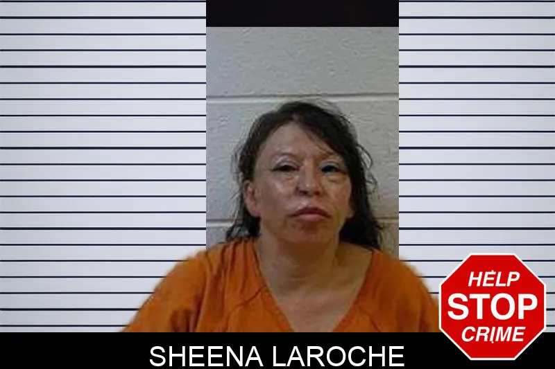 Sheena Laroche mugshot