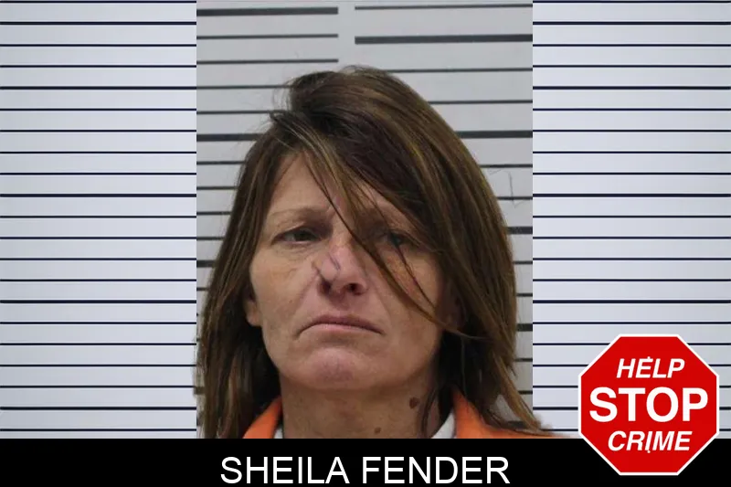 Sheila Fender mugshot