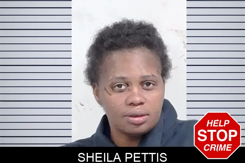 Sheila Pettis mugshot – Lowndes County , Georgia Sheila Pettis mugshot