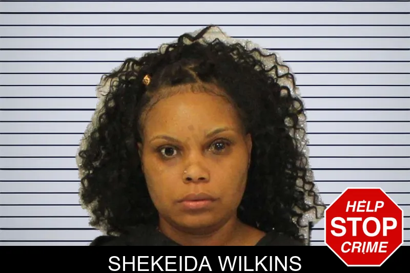 Shekeida Wilkins mugshot – Carroll County , Georgia Shekeida Wilkins mugshot