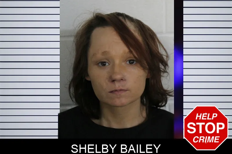 Shelby Bailey mugshot – Floyd County , Georgia Shelby Bailey mugshot