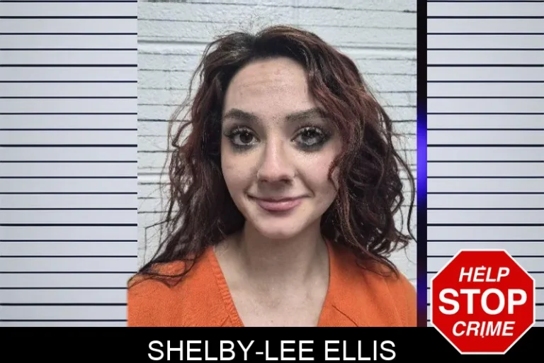Shelby-Lee Ellis mugshot – Dade County , Georgia Shelby-Lee Ellis