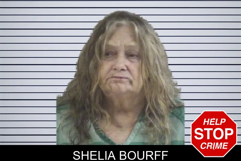 Shelia Bourff mugshot