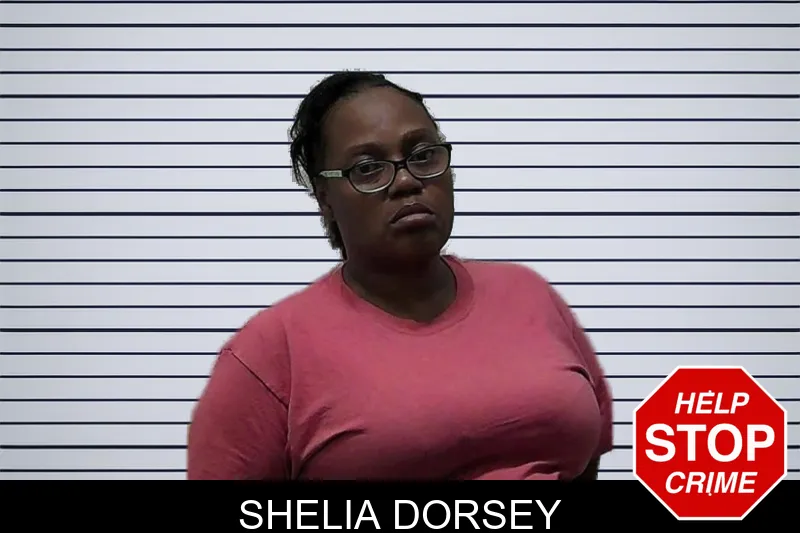 Shelia Dorsey mugshot