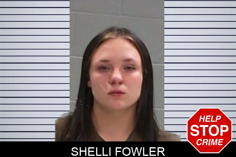 Shelli Fowler mugshot – Baldwin County , Georgia Shelli Fowler mugshot