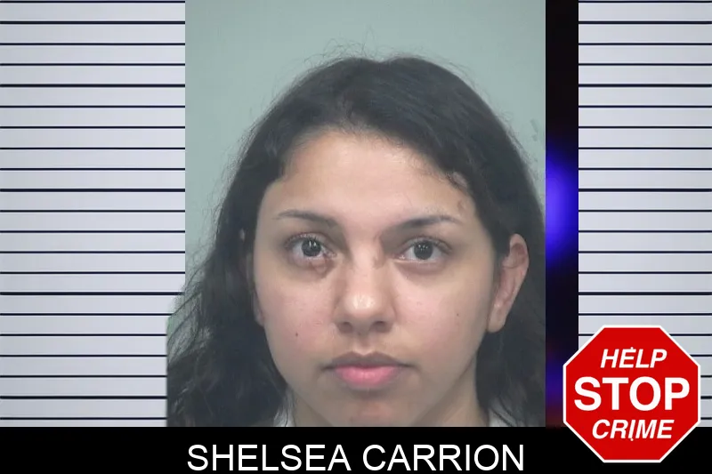 Shelsea Carrion mugshot – Gwinnett County , Georgia Shelsea Carrion mugshot