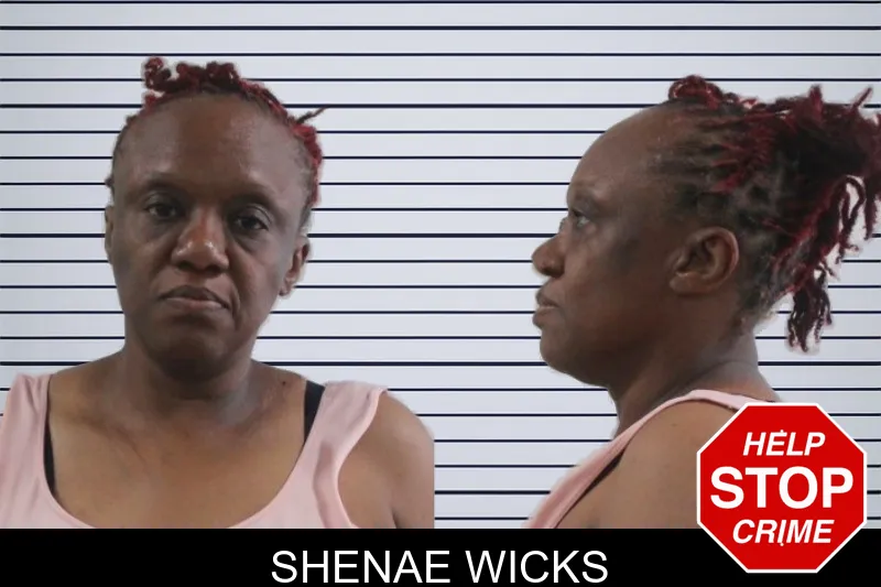 Shenae Wicks mugshot