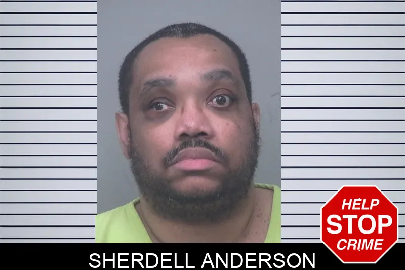 Sherdell Anderson mugshot – Gwinnett County , Georgia Sherdell Anderson mugshot