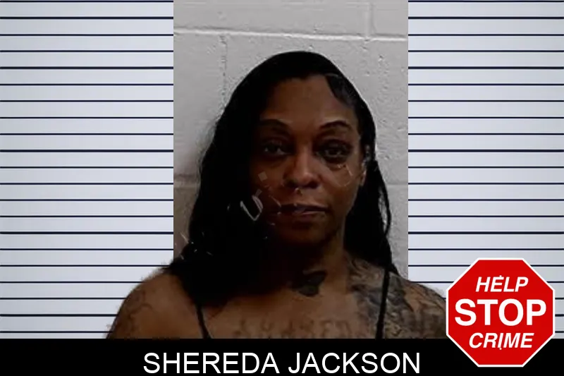 Shereda Jackson mugshot