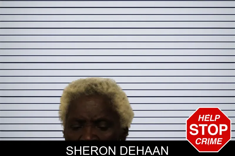 Sheron Dehaan mugshot