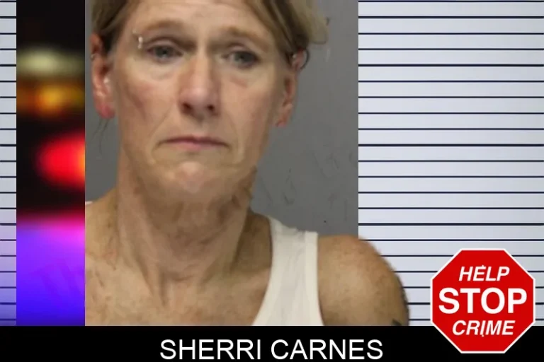 Sherri Carnes mugshot – Hall County , Georgia Sherri Carnes