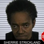Sherrie Strickland mugshot