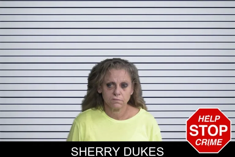 Sherry Dukes mugshot – Twiggs County , Georgia Sherry Dukes