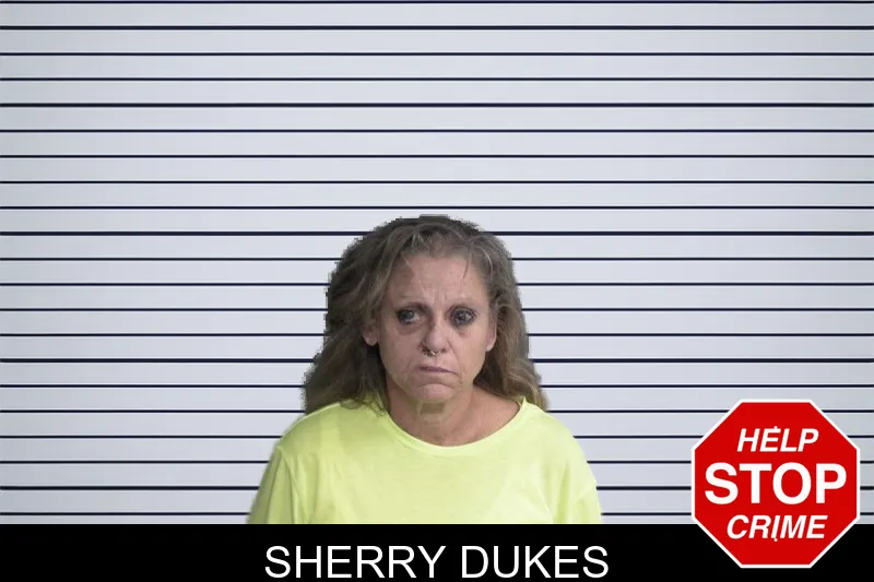 Sherry Dukes mugshot – Twiggs County , Georgia Sherry Dukes mugshot