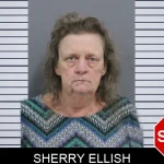 Sherry Ellish mugshot
