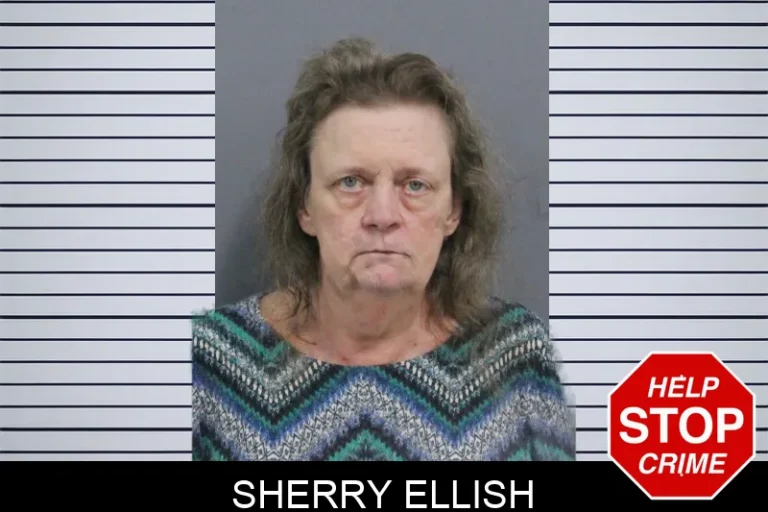 Sherry Ellish mugshot – Baldwin County , Georgia Sherry Ellish