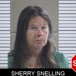 Sherry Snelling mugshot – Whitfield County , Georgia Sherry Snelling mugshot