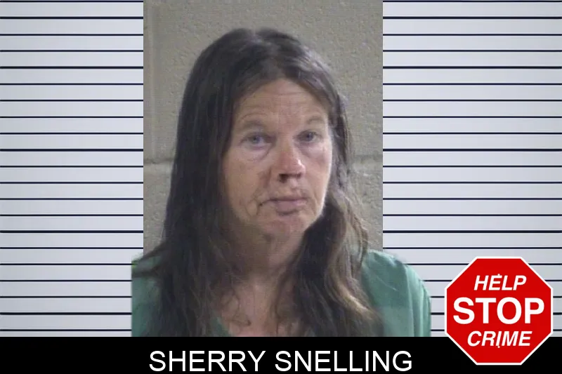 Sherry Snelling mugshot – Whitfield County , Georgia Sherry Snelling mugshot