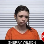 Sherry Wilson mugshot