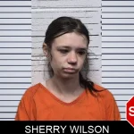 Sherry Wilson mugshot