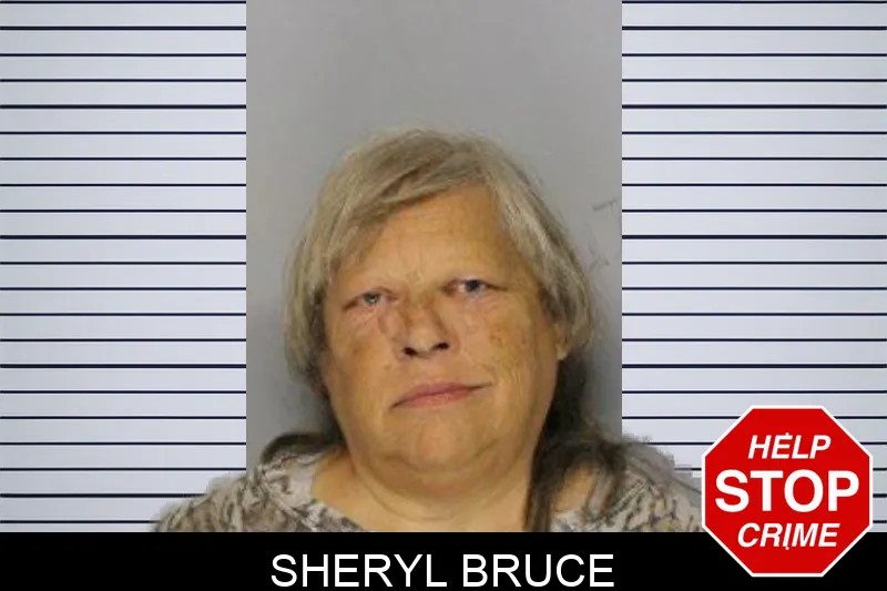 Sheryl Bruce mugshot – Hall County , Georgia Sheryl Bruce mugshot