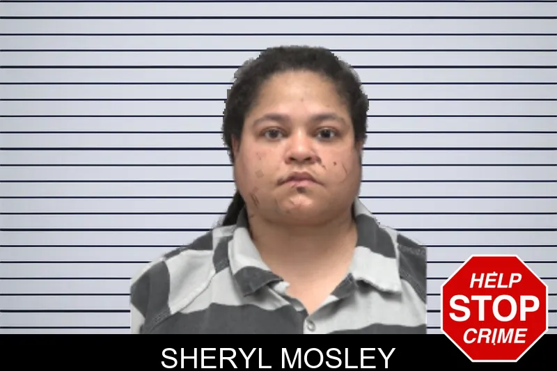 Sheryl Mosley mugshot – Dougherty County , Georgia Sheryl Mosley mugshot