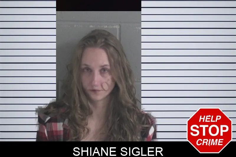 Shiane Sigler mugshot – Brantley County , Georgia Shiane Sigler mugshot