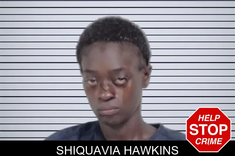 Shiquavia Hawkins mugshot – Lowndes County , Georgia Shiquavia Hawkins mugshot
