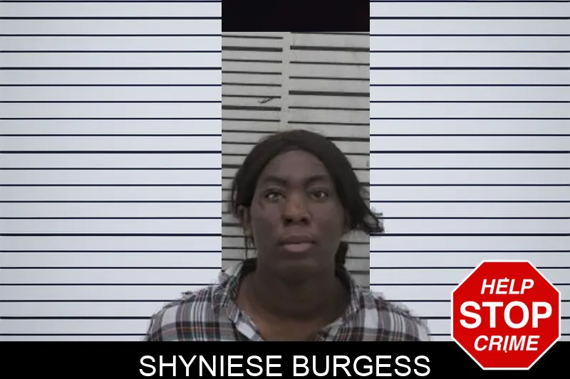 Shyniese Burgess mugshot – Coffee County , Georgia Shyniese Burgess mugshot
