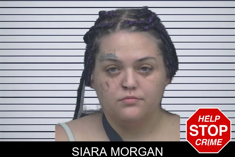 Siara Morgan mugshot