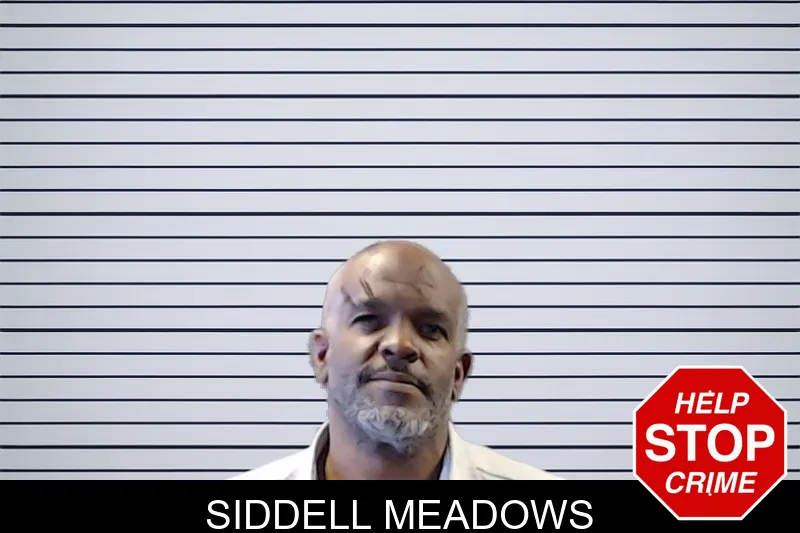 Siddell Meadows mugshot