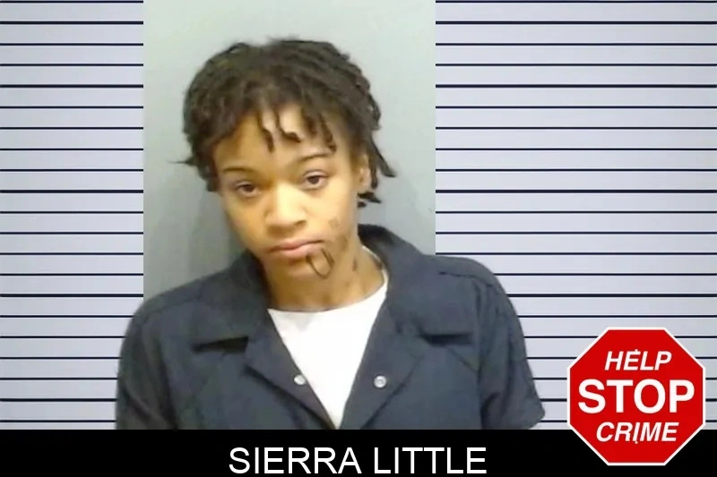 Sierra Little mugshot