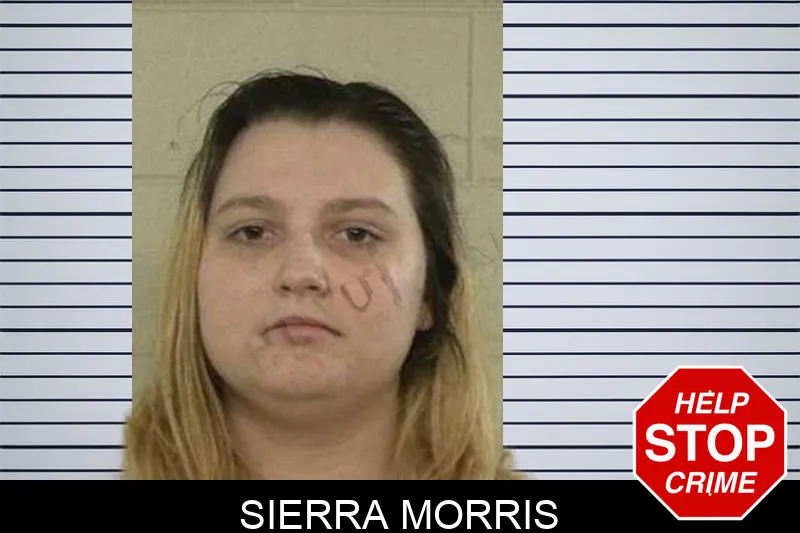 Sierra Morris mugshot