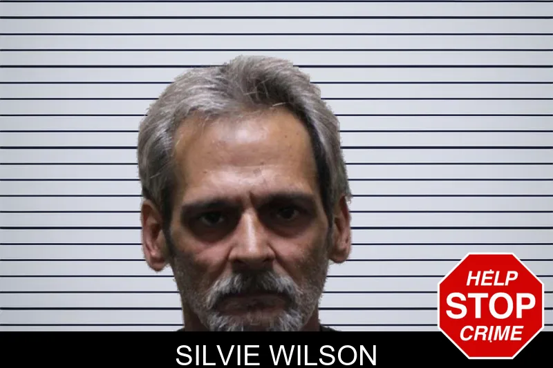 Silvie Wilson mugshot