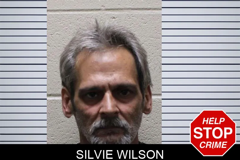 Silvie Wilson mugshot