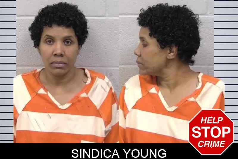 Sindica Young mugshot – Paulding County , Georgia Sindica Young mugshot