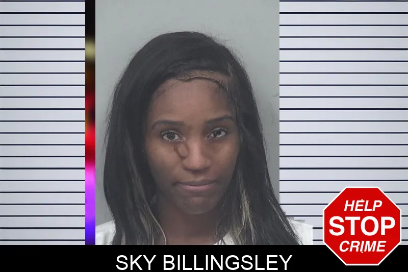 Sky Billingsley mugshot – Gwinnett County , Georgia Sky Billingsley mugshot