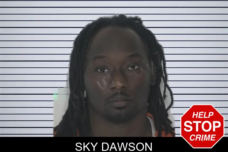 Sky Dawson mugshot