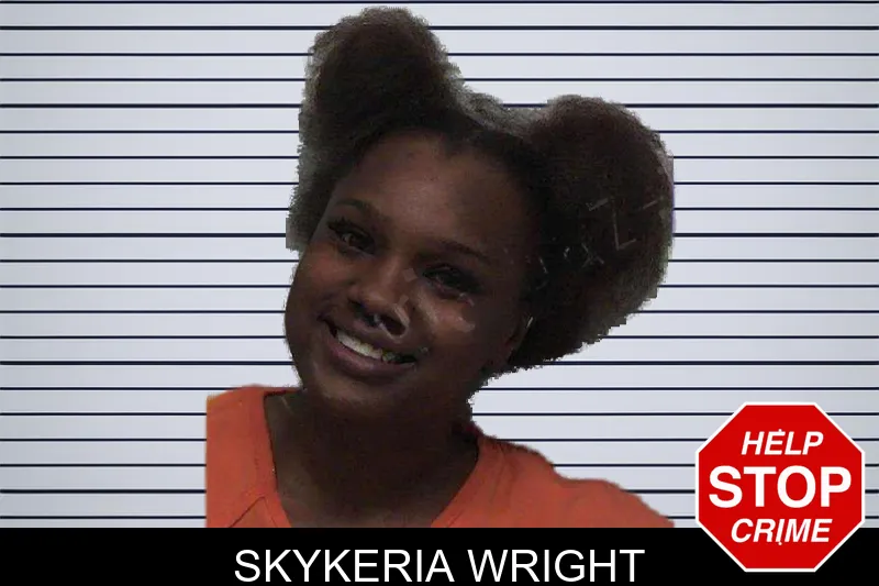Skykeria Wright mugshot – Laurens County , Georgia Skykeria Wright mugshot