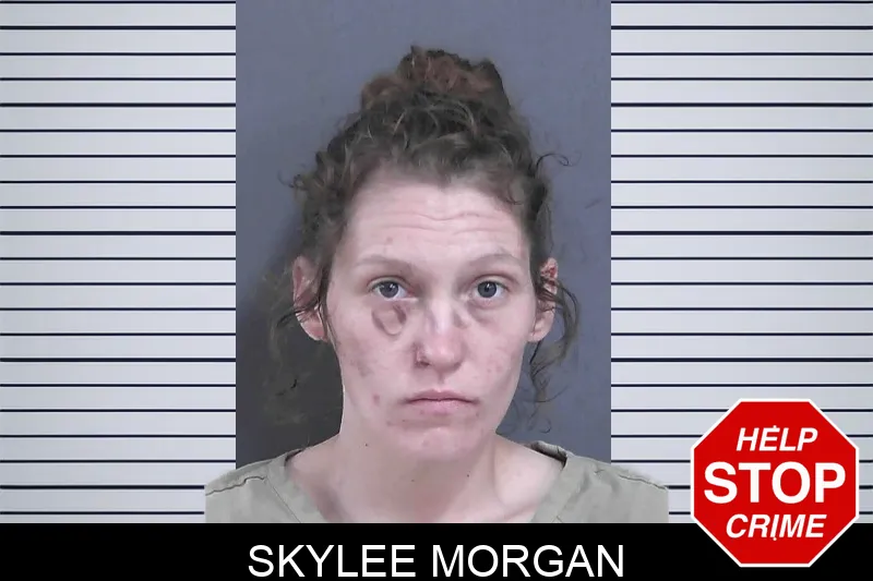 Skylee Morgan mugshot