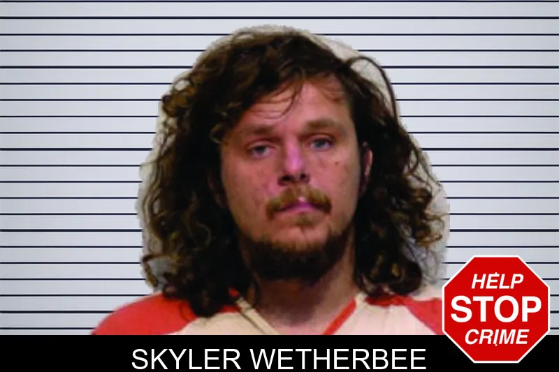 Skyler Wetherbee mugshot – Bartow County , Georgia Skyler Wetherbee mugshot