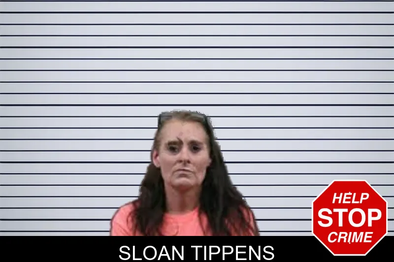 Sloan Tippens mugshot