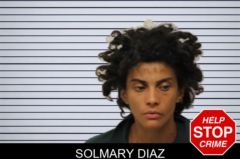 Solmary Diaz mugshot – Chatham County , Georgia Solmary Diaz mugshot