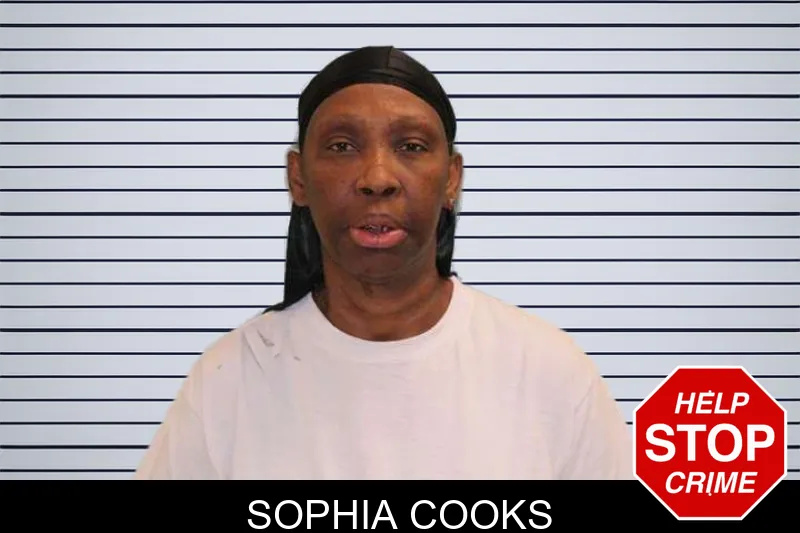 Sophia Cooks mugshot