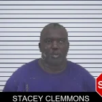 Stacey Clemmons mugshot