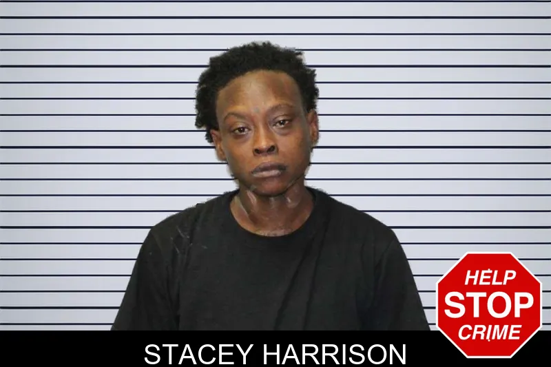 Stacey Harrison mugshot – Thomas County , Georgia Stacey Harrison mugshot