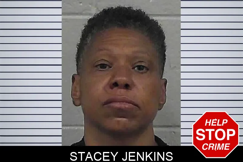 Stacey Jenkins mugshot – Butts County , Georgia Stacey Jenkins mugshot