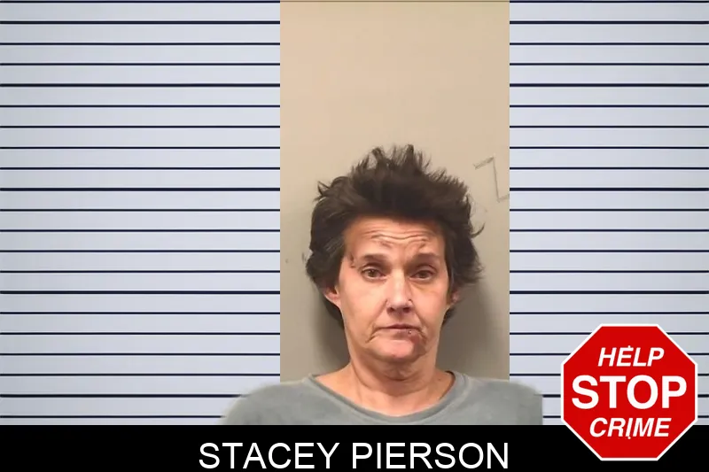 Stacey Pierson mugshot