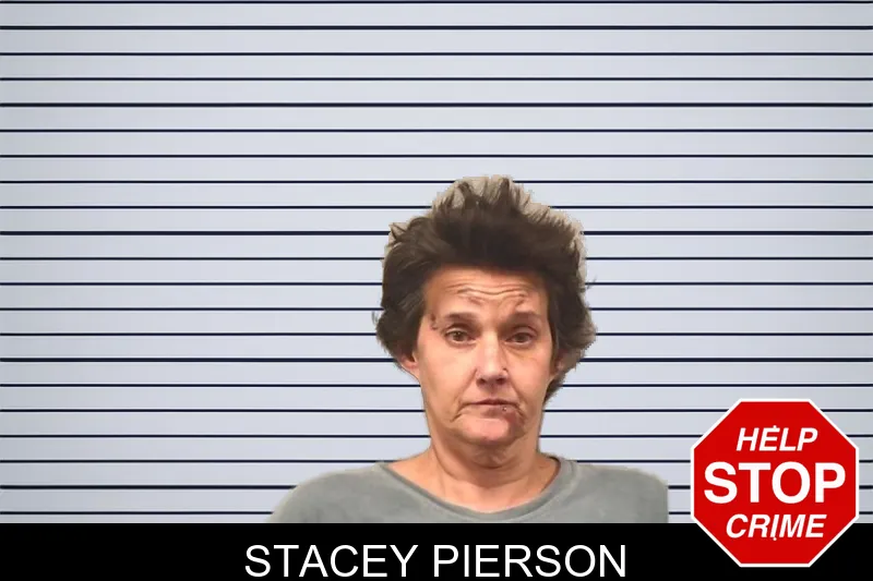 Stacey Pierson mugshot – Bleckley County , Georgia Stacey Pierson mugshot